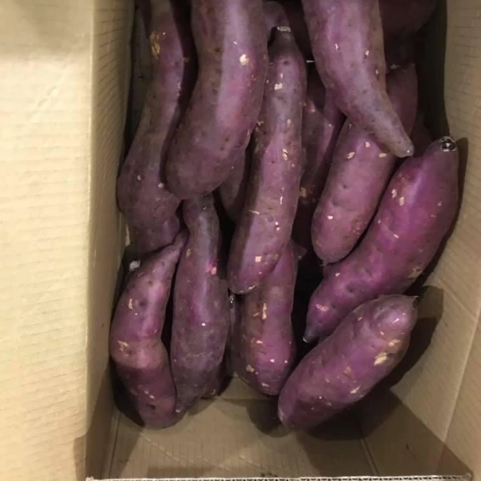 Свежий Овощной сельскохозяйственный продукт-сладкий картофель идеального качества