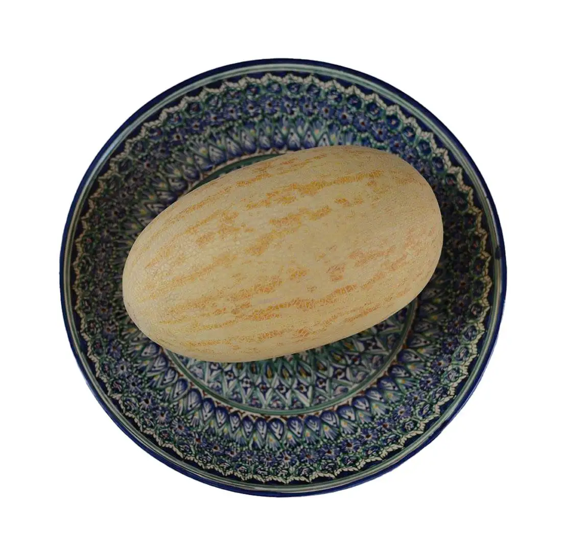 Best quality sweet juicy melons Torpeda melon from Uzbekistan manufacturer wholesale price for export