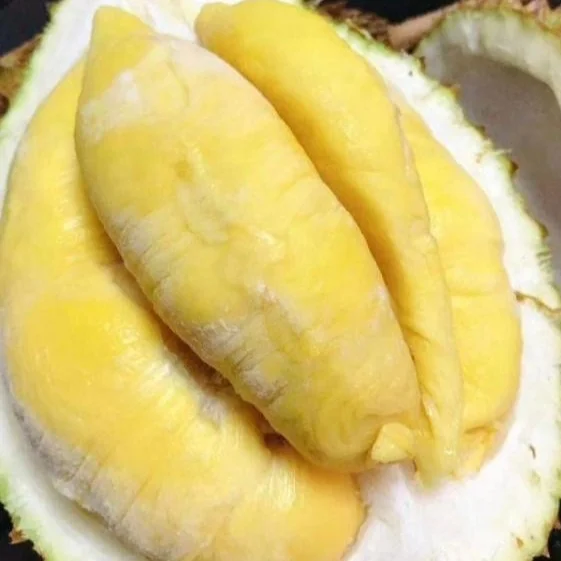 Hot Selling Grade A Super Fresh Frozen Musang King Durian Whole Fruit For Export Malaysia Musang King IQF Durian Tropical Fruits