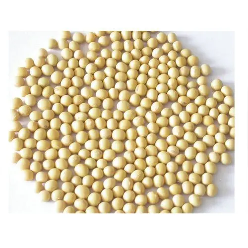 Soybeans   Soybeans High Quality Non GMO Yellow Dry Soybean (11000001906394)