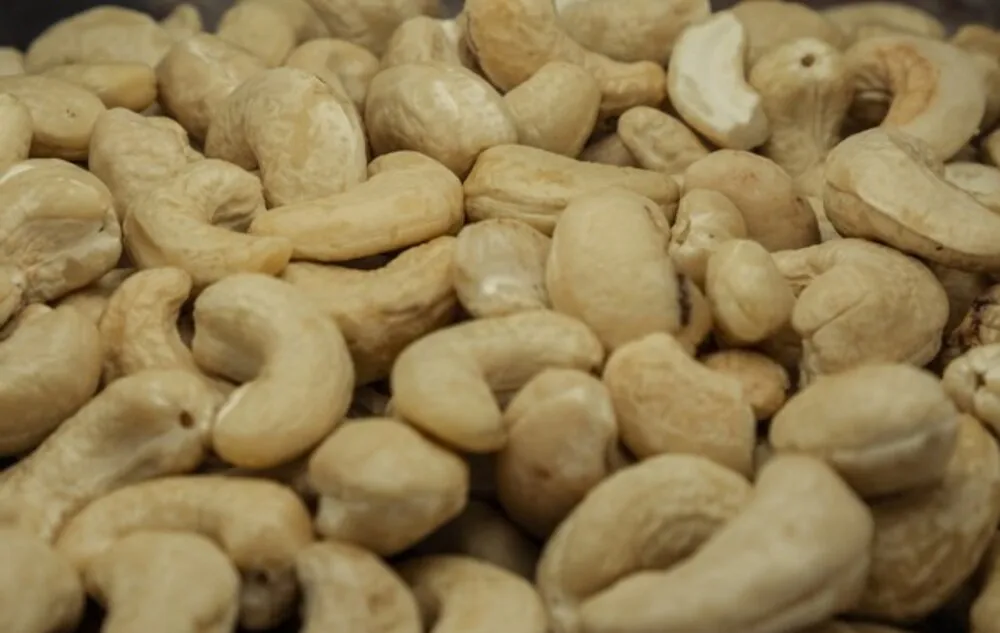 Орехи кешью W320 W240 из Вьетнама, горячая распродажа, Лучшая цена, отличный вкус, высокое качество