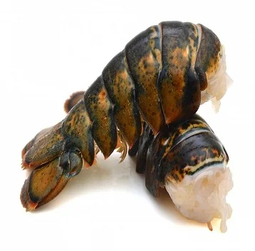 
Buy Fresh Quality Pacific Canadian Red Lobsters 