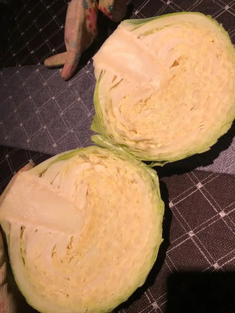 Fresh Cabbage Natural High Quality New Crop