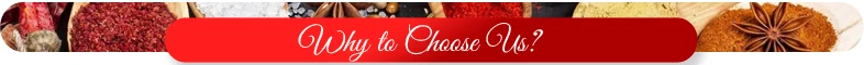 Why-to-Choose-Us.jpg