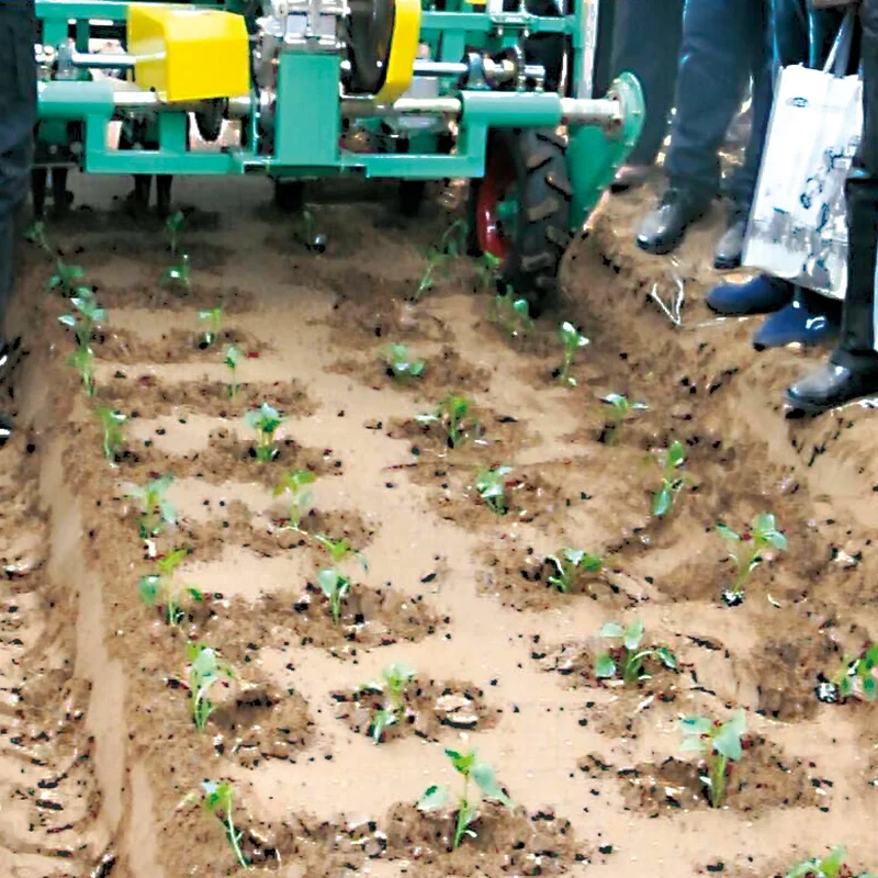vegetable carrot seeder green onion planter vegetable onion planting machine Sesame cabbage vegetable seed planter