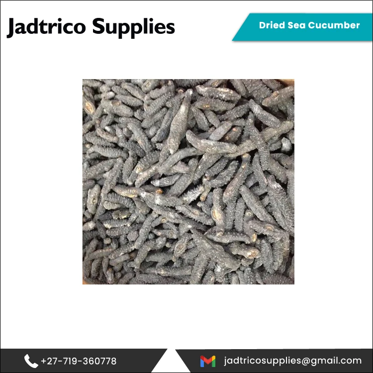 2021 оптовая продажа сушеный морской огурец превосходного качества по лучшей конкурентоспособной цене