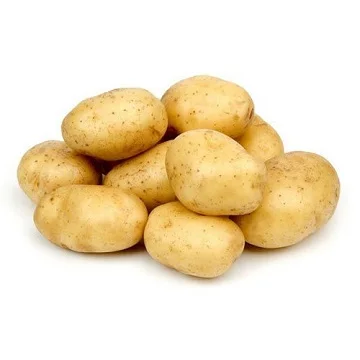 Fresh Potato For Sale