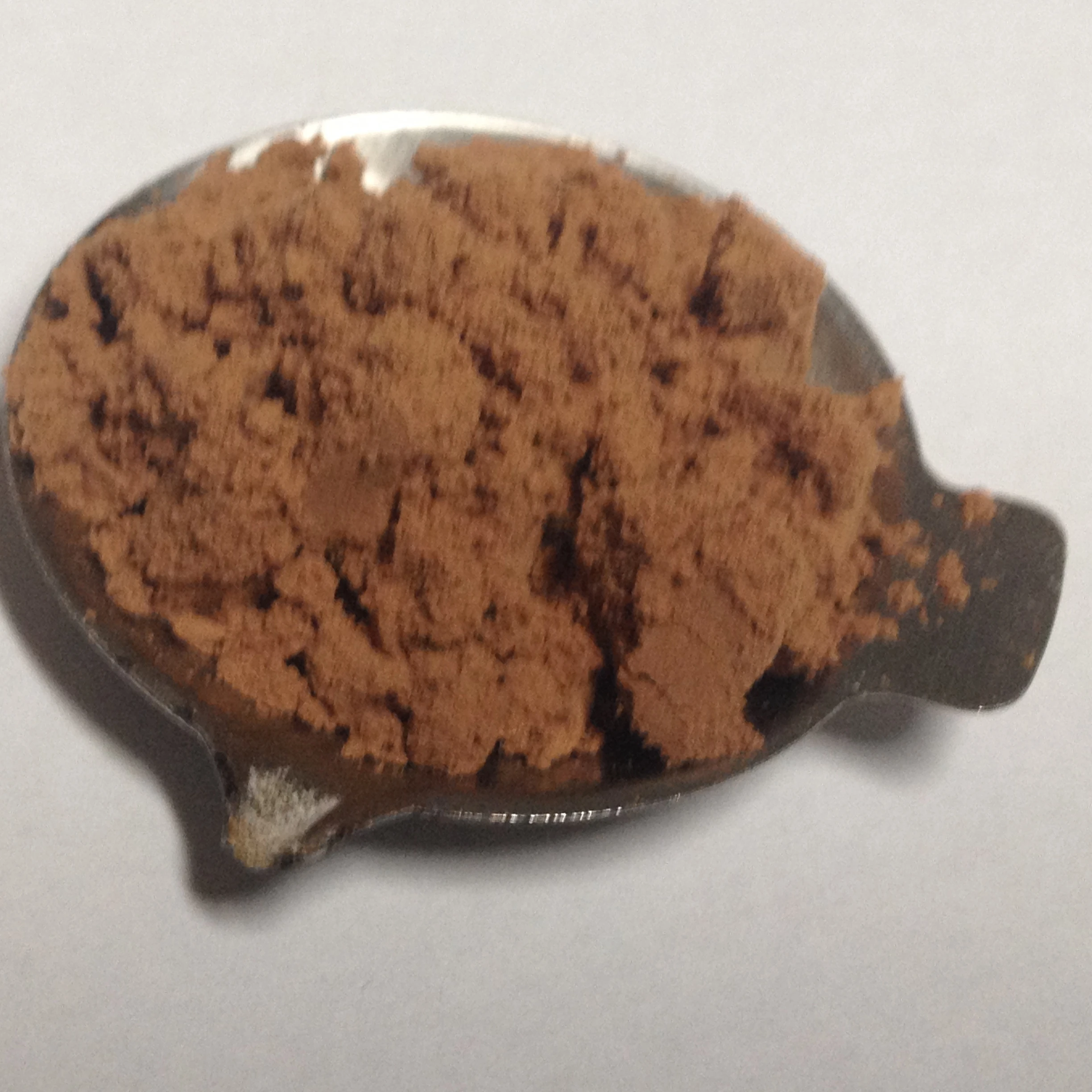 Good Quality Pure Supari Extract (Areca Catechu)