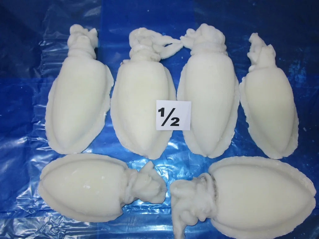Frozen Individual quick frozen Cuttlefish whole cleaned from India
