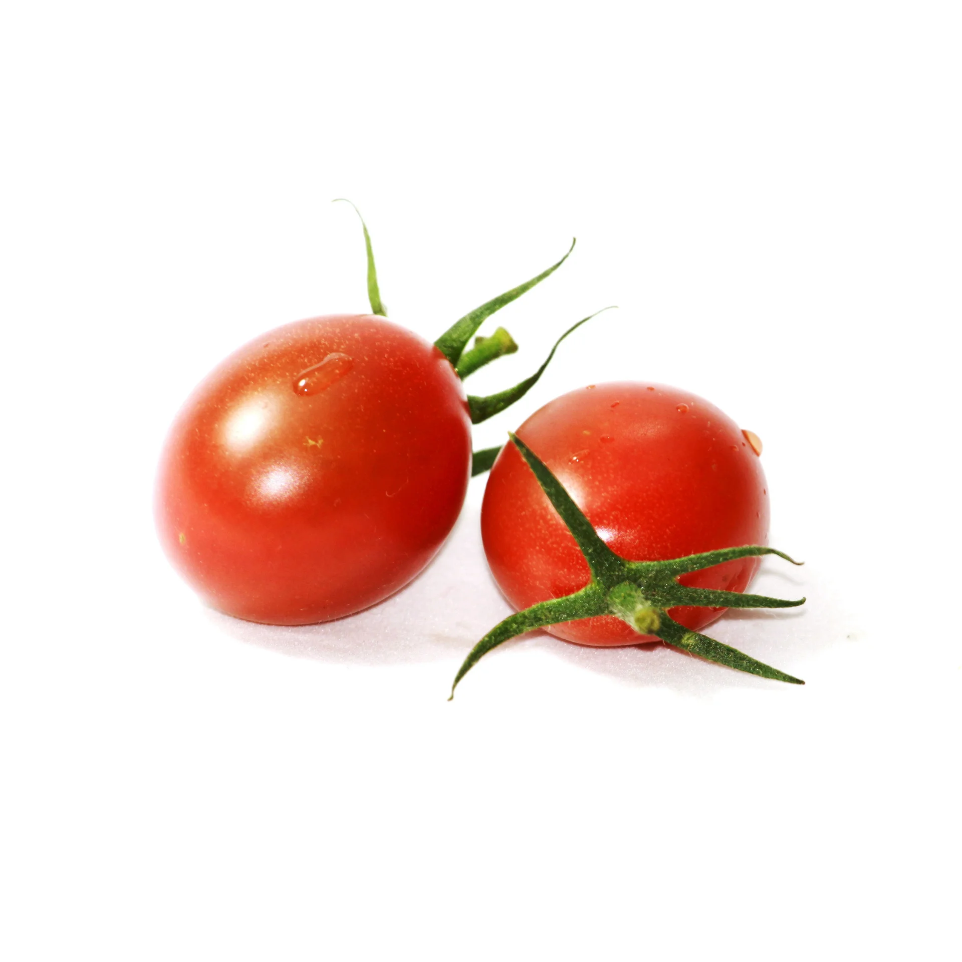 Cherry tomatoes- High fresh quality