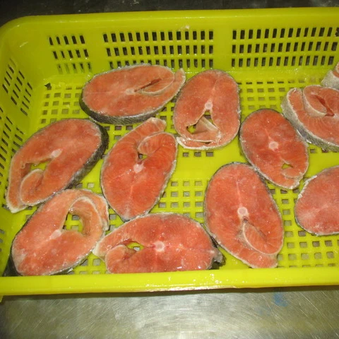 Frozen Salmon Steak/Fresh Quality Fish for Sale