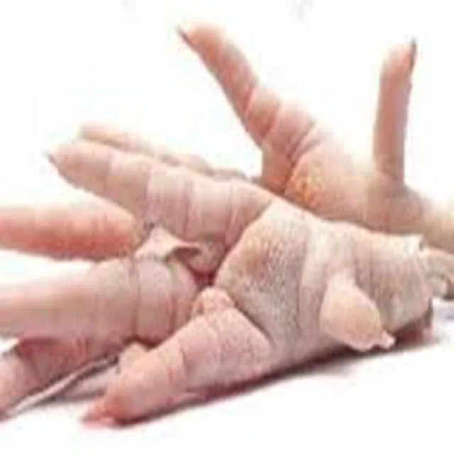 Premium Supplier First Class Chicken Paws Healthy and Nutritious