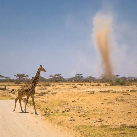 6 DAYS MASAI MARA, LAKE NAKURU, AMBOSELI NATIONAL PARK
