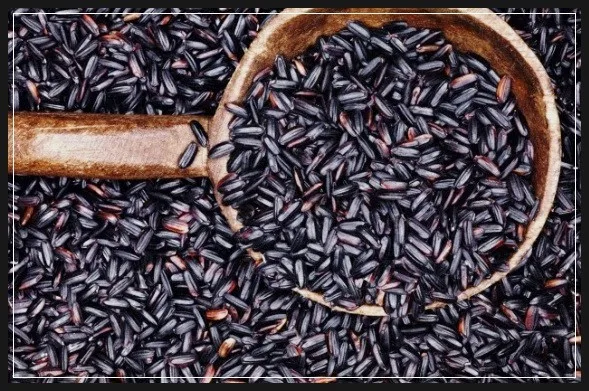  Черный рис с длинным зерном-фиолетовый голубый рис-глютиновый Азиатский фиолетовый голубой (GAO NEP THAN) (Ms Деми + 84 961 733 400)