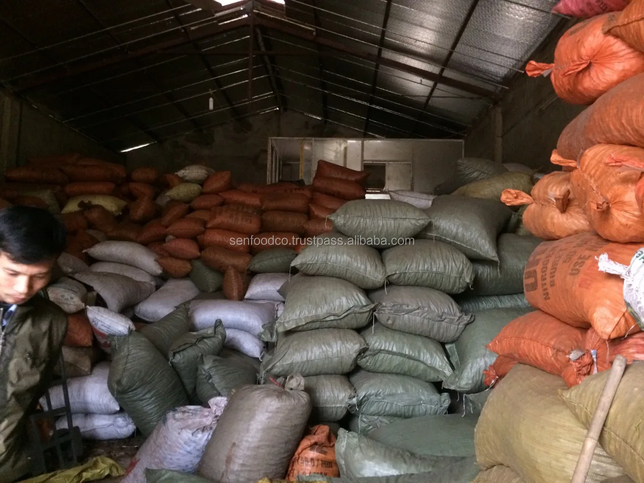 
BLACK CARDAMOM FROM VIETNAM 