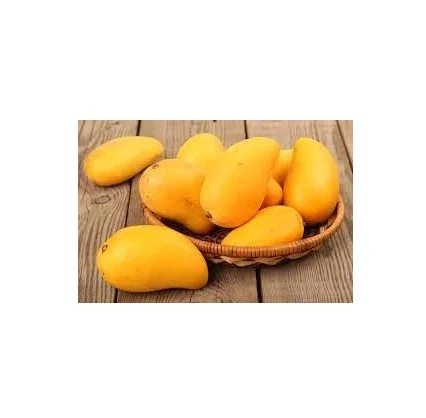 Best Seller Of Fresh Mangoes At Low Prices