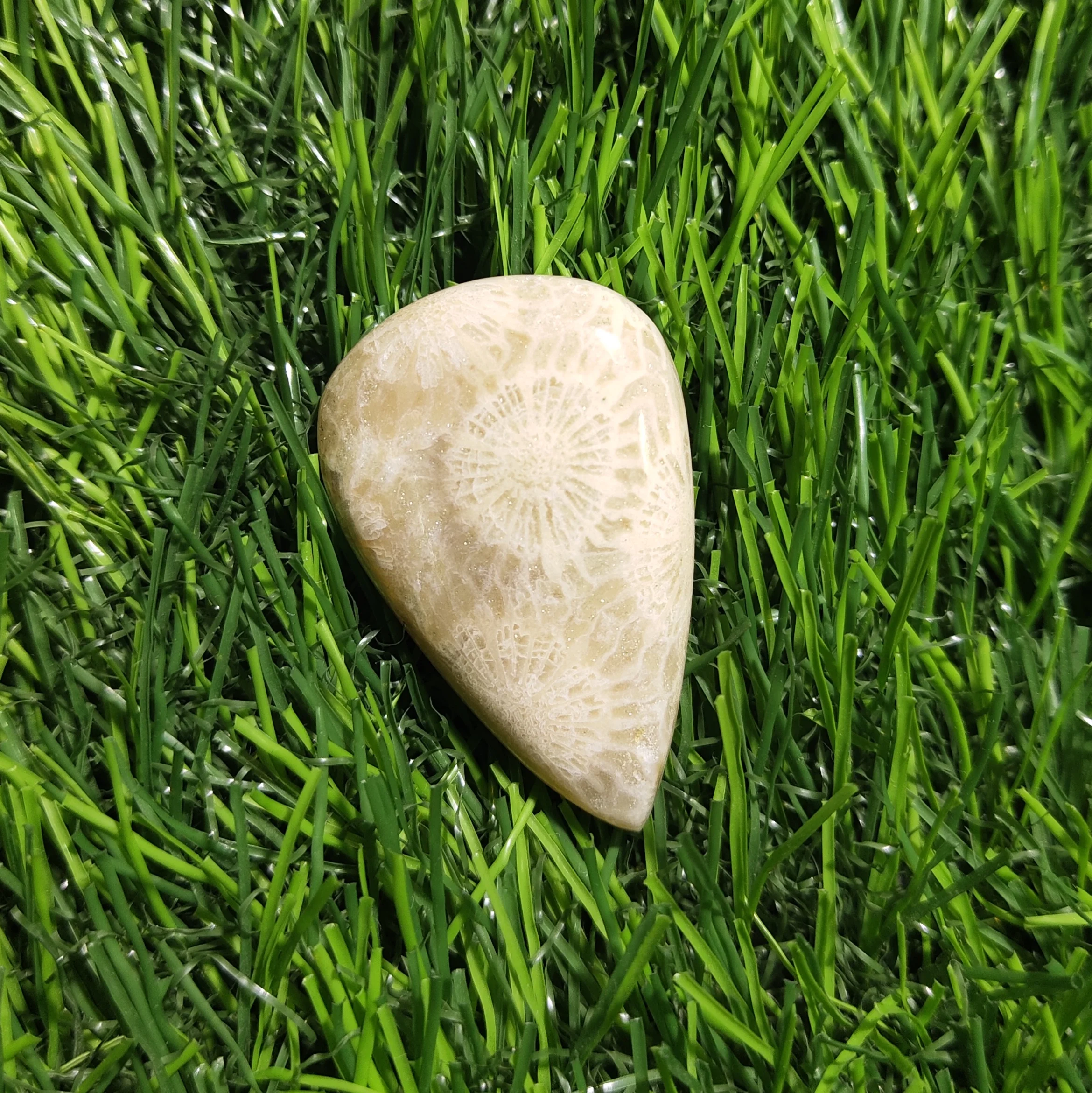 Top! Natural Fossil Coral Cabochon Amazing Quality Fossil Coral Loose Gemstone For Jewelry Making Semi Precious Stone