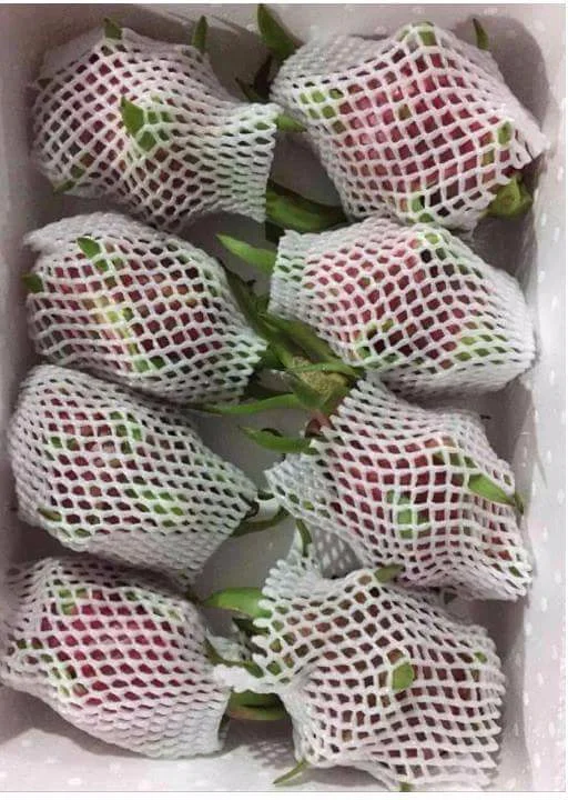 
Supply Fresh Dragon Fruit With High Quality And Competitive Price 2021 