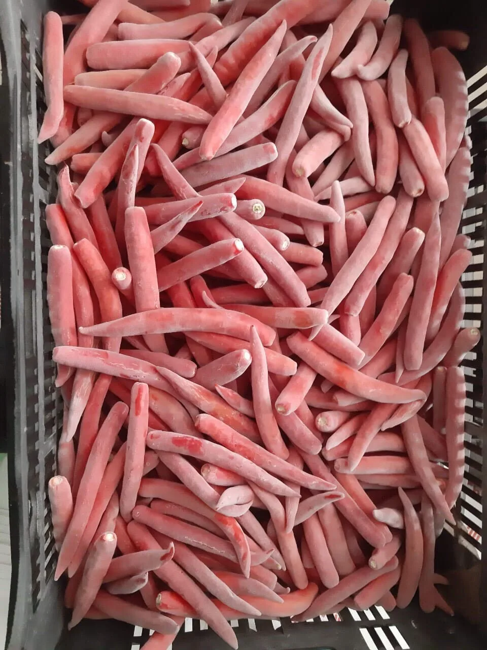 FROZEN RED BIRD EYES CHILI - Best price from Vietnam