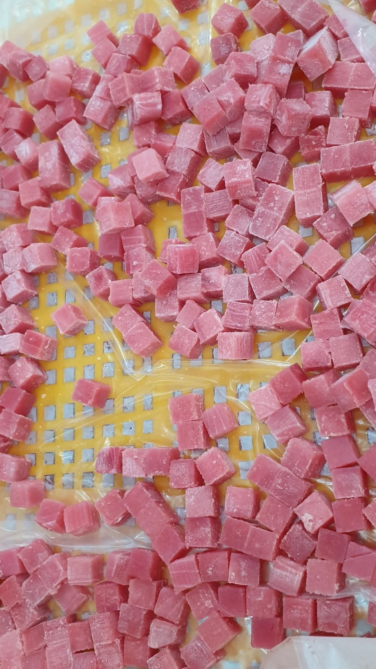 Лучшая цена лечение замороженным тунцем (Loins/ Saku/ Steak/ Cube / Strip ) Thunnus Albacares