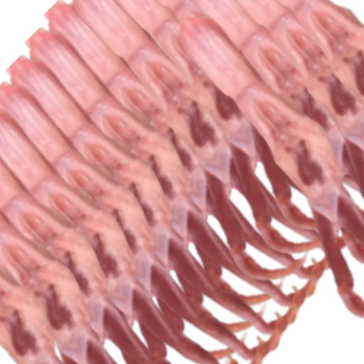 
whole duck frozen duck neck part frozen wholesale premium haccp iso 