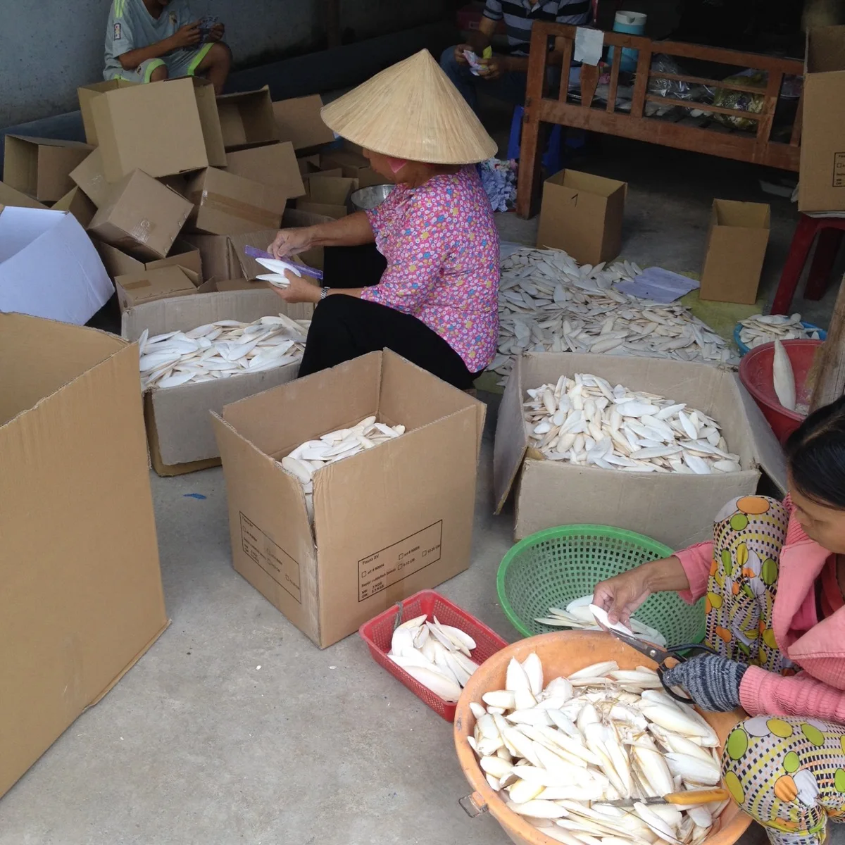 Очищенная обрезанная/НЕОБРАБОТАННАЯ косточка с низкой ценой/Высококачественная Для морской рыбы разных размеров оптом из Вьетнама 2021