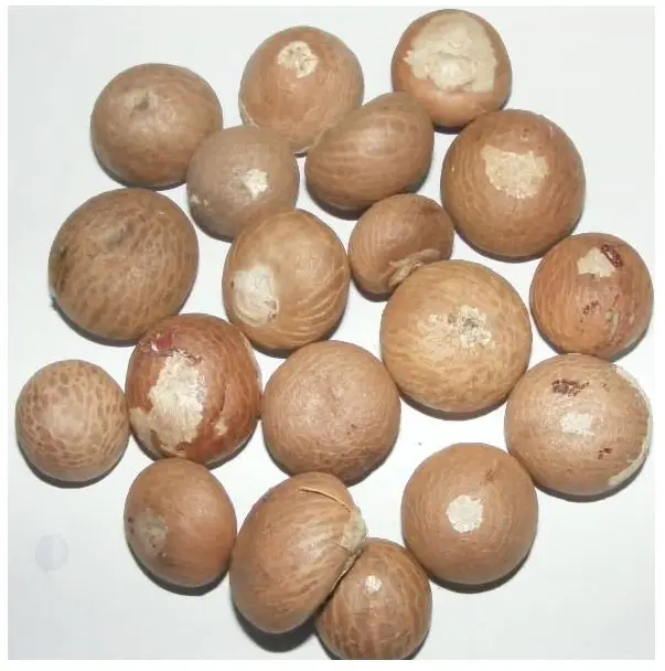 Высушенные цельные и сплит-гайки в