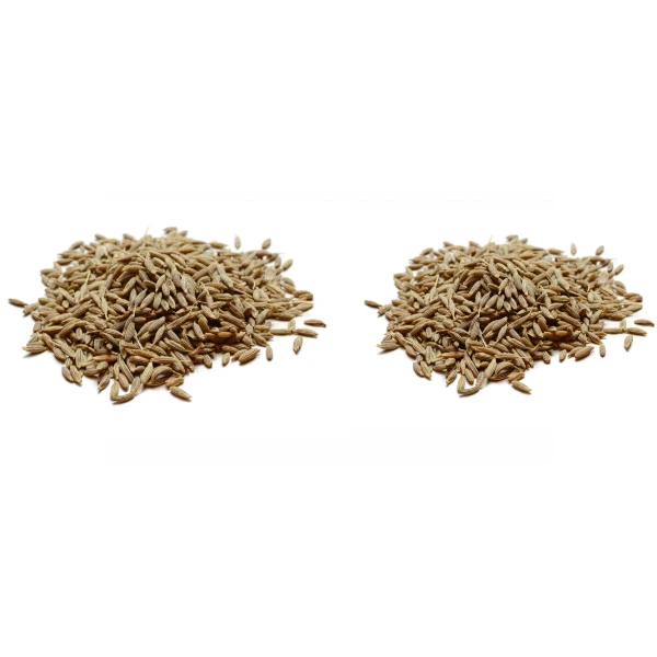 Wholesale Organic Dried Black Cumin Seeds Supplier