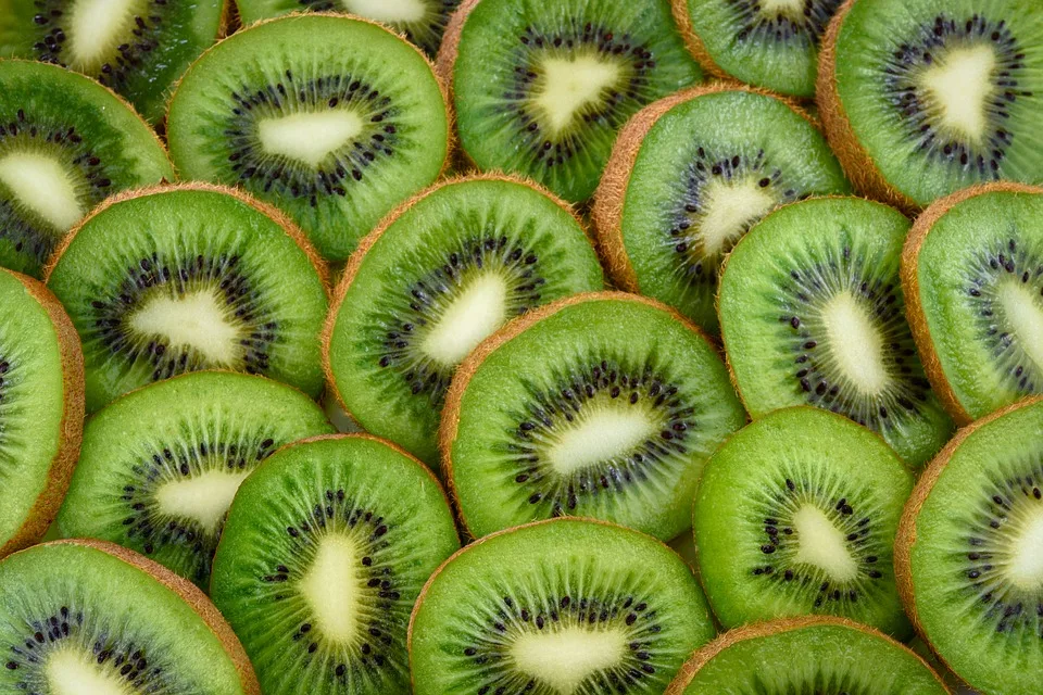 kiwi 3.jpg