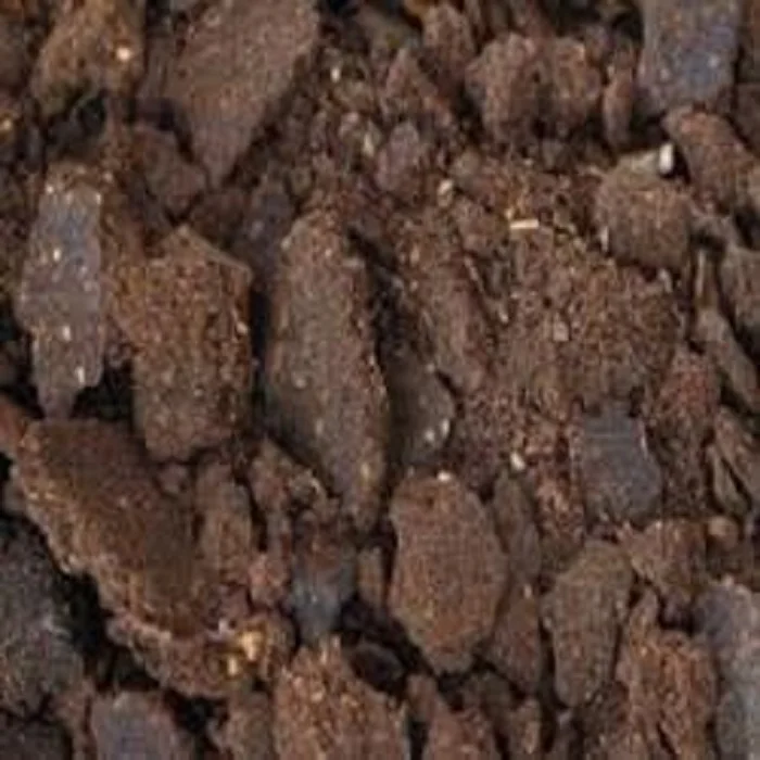 High Quality Eco-friendly Neem Seed Cake Fertlizer for Bulk Purchase Natural Neem Cake Organic