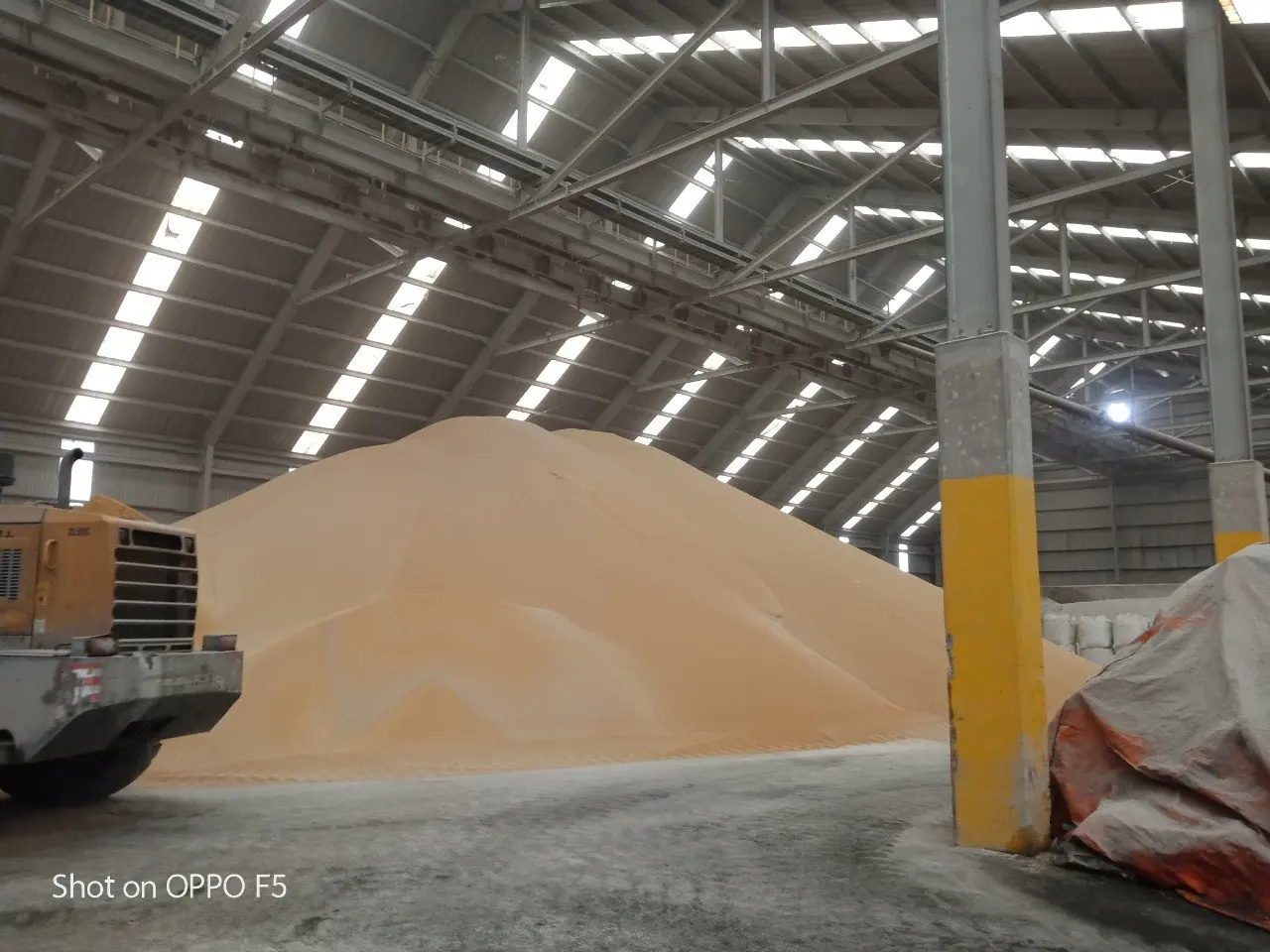 9a6a9e61a1b550eb09a4