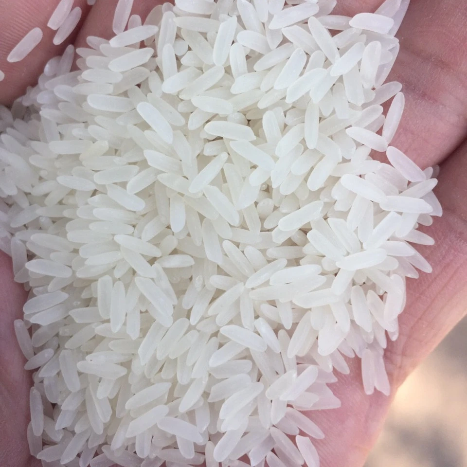 WHOLESALE VIETNAM OM5451 RICE