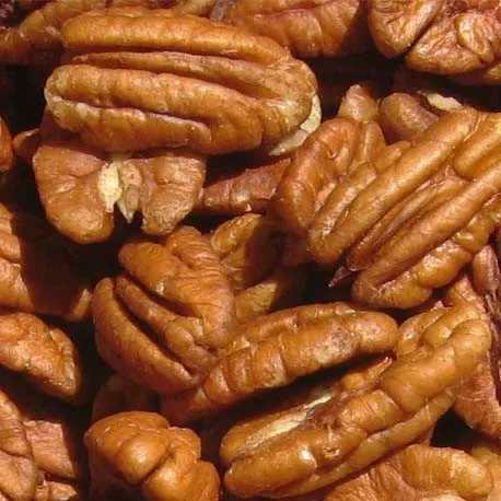 
Wholesale High Quality Pecan Nuts 