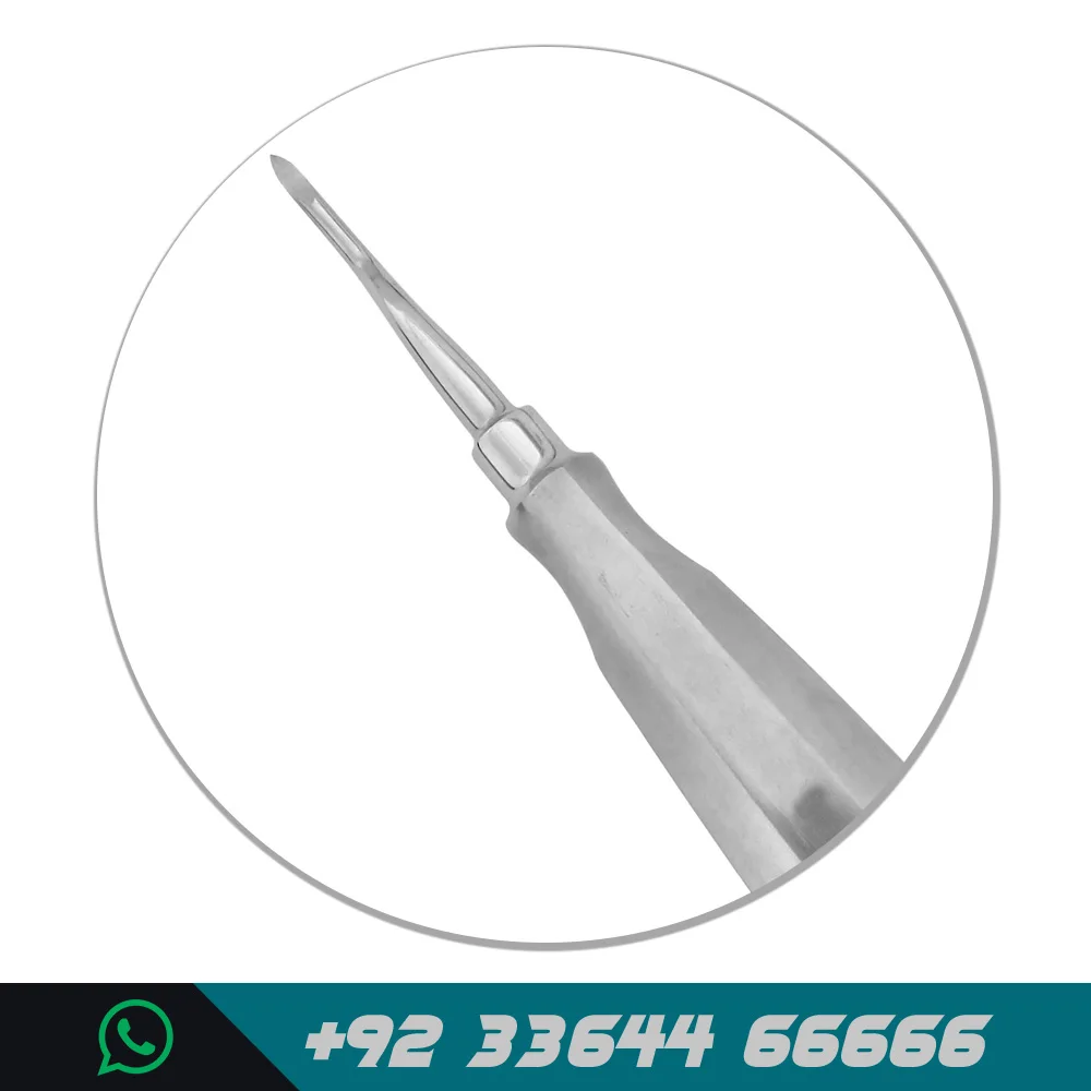 
Bayonet Elevator Medical Dental Orthodontist Dentist Lab Clinic Instruments Tools Cheap Price Dentistry Supplies 