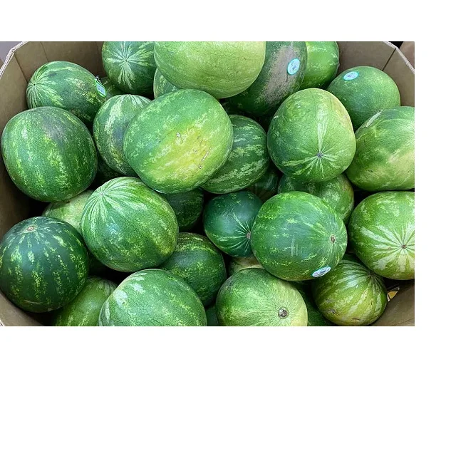  Новый арбуз для продажи в