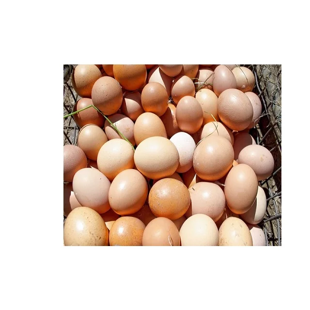  Свежие куриные яйца для фермы на продажу