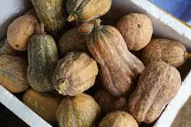 Cheap export pumpkins/ Jasmine +84 896679047