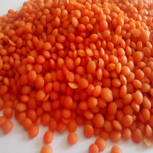  Lentils Yellow Green Light Style Organic Color Weight Shelf Origin Type Life Size Bright Colour Product