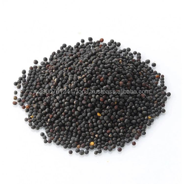 Selected rapeseeds oilseed winter crop for animal feeding and oil production wholesale cheap price, grain