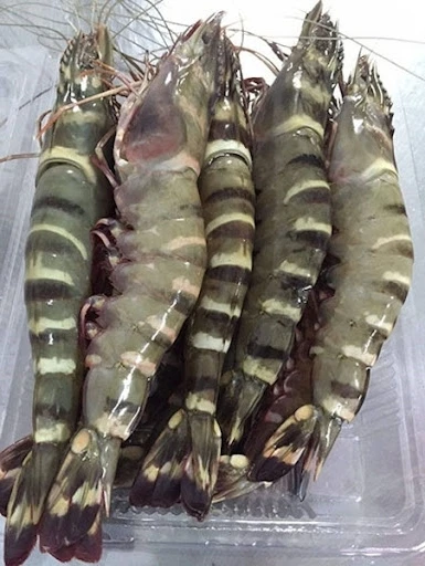 Frozen Black Tiger Shrimp HLSO Headless Shell On Shrimp Shrimp to Export made in Vietnam