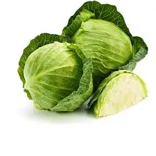 Green cabbage for export