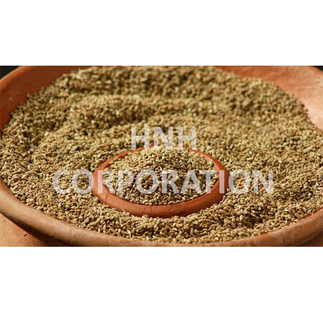 Carom seeds Trachyspermum Ammi ajwain seeds