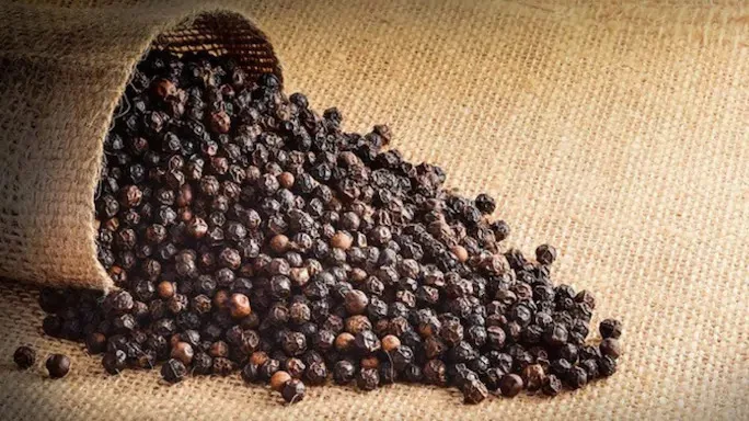 VIETNAM BLACK PEPPER - BEST PRICE BLACK PEPPER 580/570/550/500 GL MC/FAQ VIETNAM FACTORY +84 366 1368 39