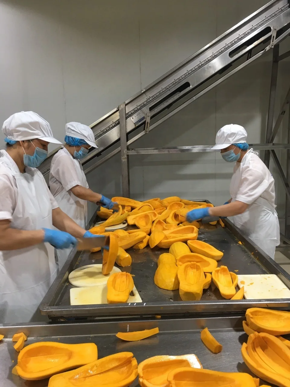 VIETNAM VEGETERIAN FROZEN FOOD IQF PUMPKIN CUBE/ SLICE/ PUREE OEM PACKING FOR EXPORTING