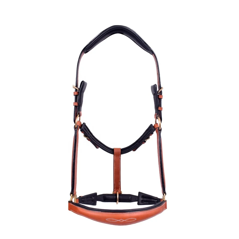 Premium Leather Arabian Horse Halter Manufacturers