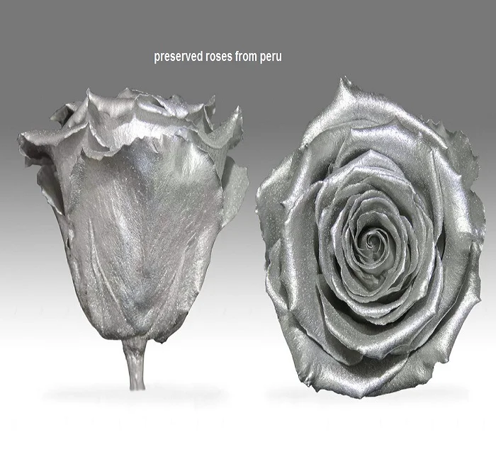 Вечная природные розы