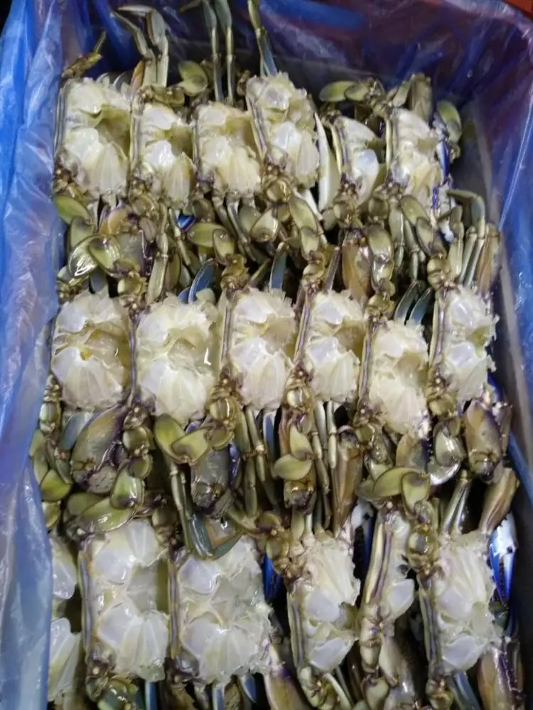 
High Quality Factory Frozen Swimming Crab Blue Crab 