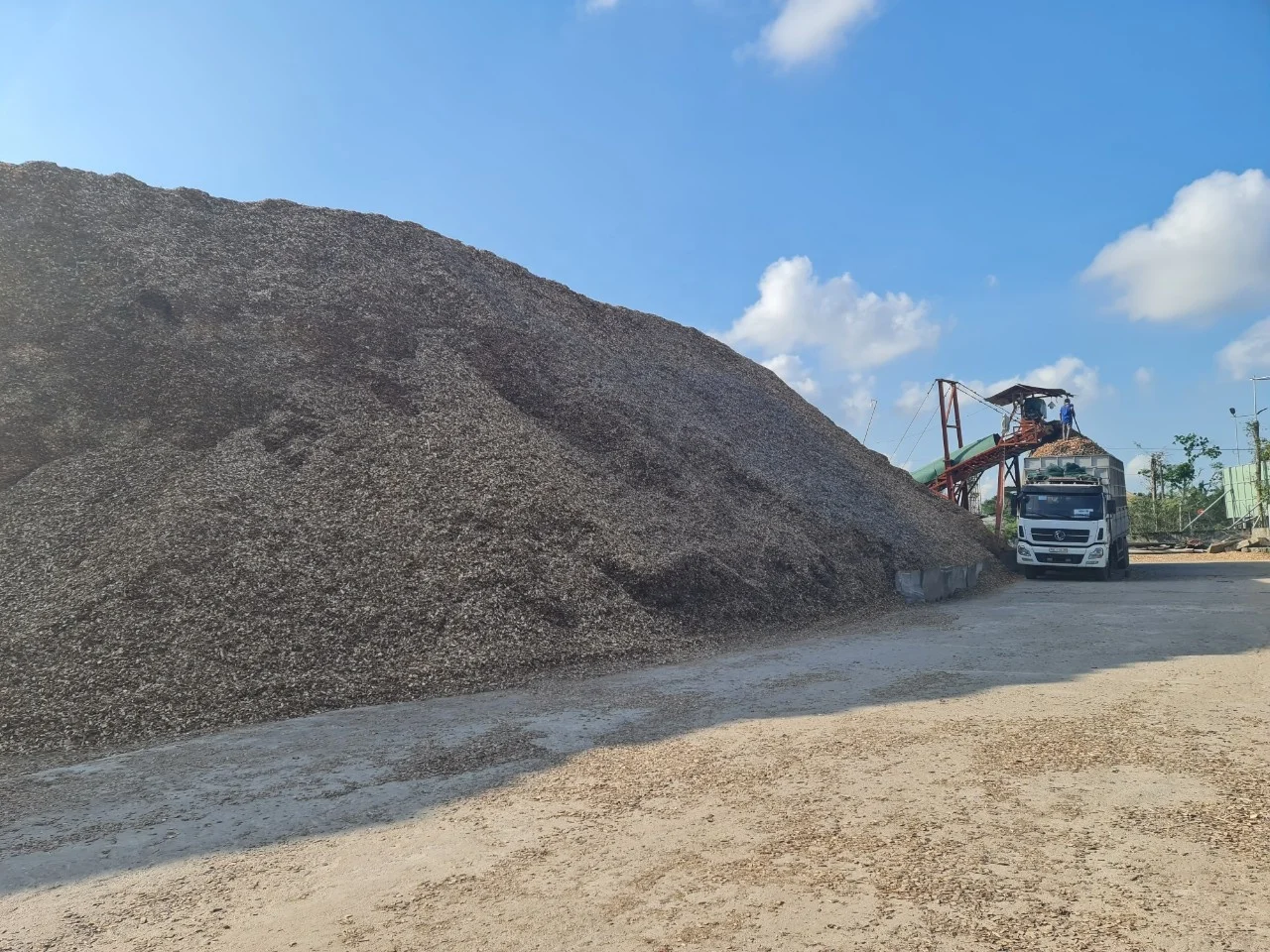 Древесные стружки