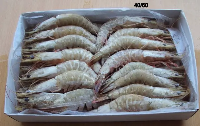 Дешевая заводская цена индийская поставка белых креветок HOSO