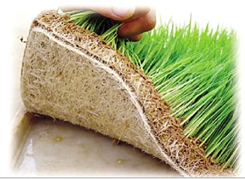  Лучшая цена кормовая рисовая шелушка-вьетнамская Расширенная шелушка для средней роста почвы